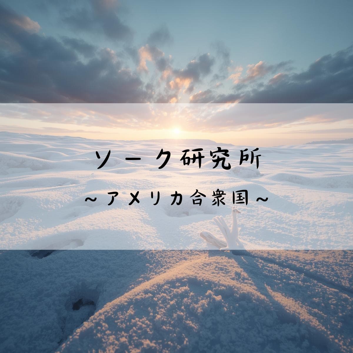 ソーク研究所　アメリカ合衆国